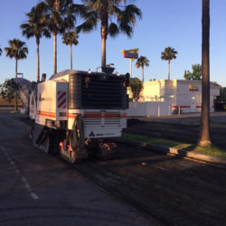 anrak trucks and palm trees